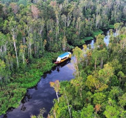 Taman Nasional Tanjung Puting: ป่าฝนเขตร้อนที่อุดมสมบูรณ์และเพื่อนร่วมโลกขนฟูที่น่ารัก!